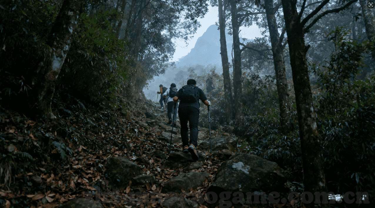 澳门新赌场门口的风水-澳门新赌场门口的风水，传统智慧与现代设计的融合